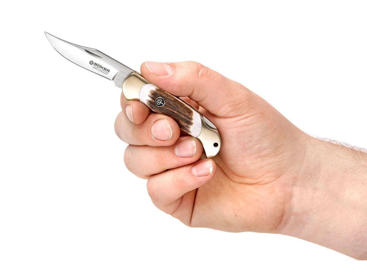 Boker Boy Scout Stag Lockback Folder Knife 112403 4 Boker Boy Scout Stag Lockback Folder Knife 112403 - Image 2