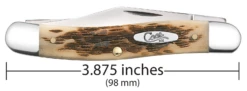 Case Amber Bone Peach Seed Jig (SS) Stockman Folder Knife #00128 -Knives Store CA00128 3