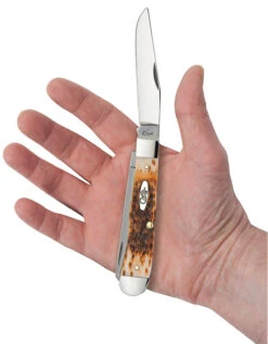 Case Amber Bone Peach Seed Jig (CS) Large Trapper Folder Knife #00163 9 Case Amber Bone Peach Seed Jig (CS) Large Trapper Folder Knife #00163 -Knives Store CA00163 2
