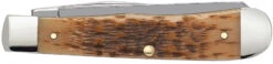 Case Amber Bone Peach Seed Jig (CS) Large Trapper Folder Knife #00163