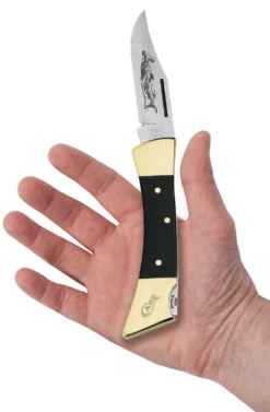 Case Jet-Black Synthetic (SS) Hammerhead Lockback Folder Knife #00177 -Knives Store CA00177 2