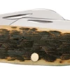 Case Amber Bone Peach Seed Jig (CS) Large Stockman Folder Knife #00204 1 Case Amber Bone Peach Seed Jig (CS) Large Stockman Folder Knife #00204 -Knives Store CA00204