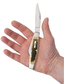 Case Amber Bone Peach Seed Jig (CS) Large Stockman Folder Knife #00204 -Knives Store CA00204 2
