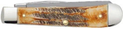 Case 6.5 BoneStag® Large Trapper (SS) Folder Knife #03573 9 Case 6.5 BoneStag® Large Trapper (SS) Folder Knife #03573 -Knives Store CA03573 2