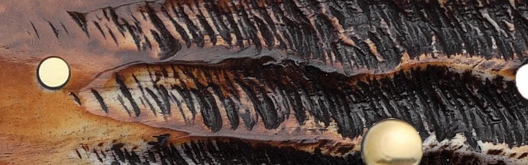 Case 6.5 BoneStag® Large Trapper (SS) Folder Knife #03573 3 Case 6.5 BoneStag® Large Trapper (SS) Folder Knife #03573