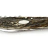 Puma Taschenmesser 421 Staghorn Folder Knife - 210421 -Knives Store PU210421