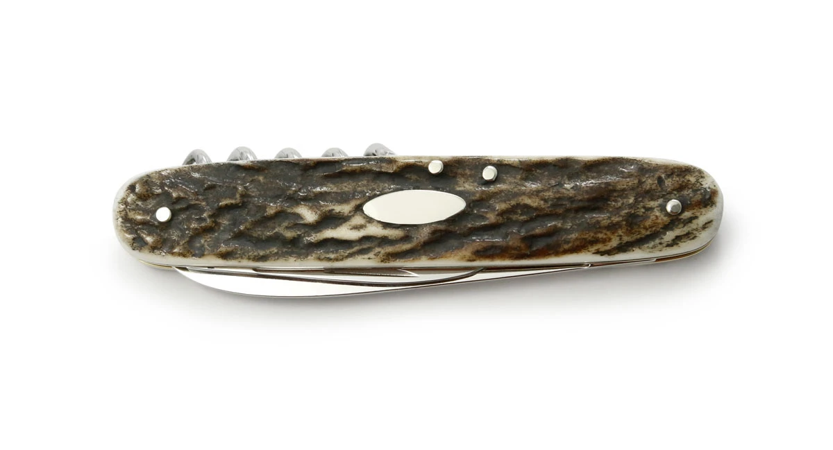 Puma Taschenmesser 421 Staghorn Folder Knife - 210421 3 Puma Taschenmesser 421 Staghorn Folder Knife - 210421